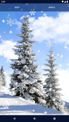 Winter Forest Snow Wallpapers android App screenshot 2